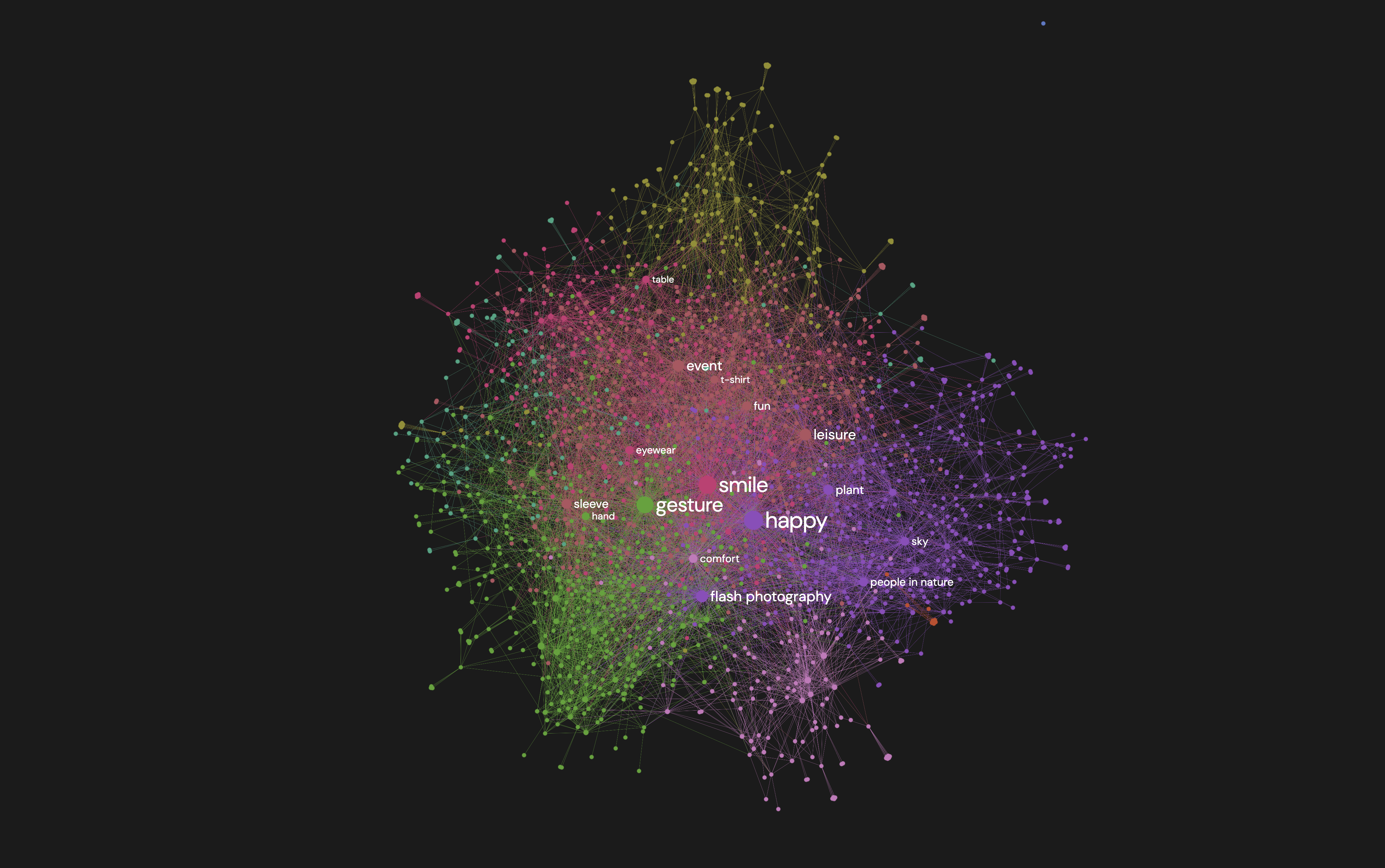 Vision Labels Network
